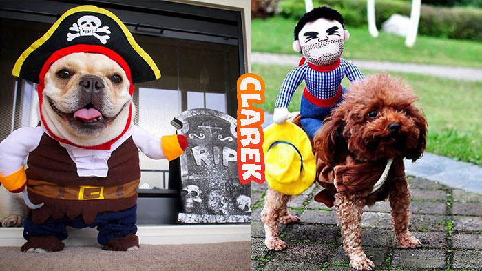 Dog Halloween costumes