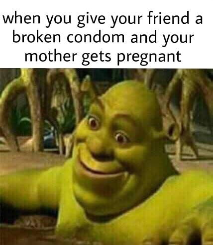 Shrek memes  dirty